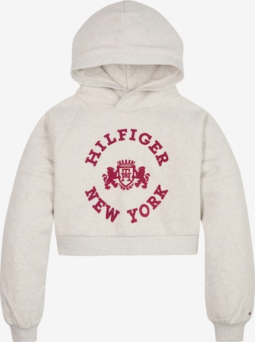 TOMMY HILFIGER Sweatshirt in Grey: front