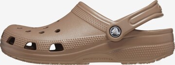 Clogs di Crocs in marrone: frontale