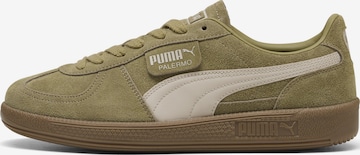 Baskets basses 'Palermo' PUMA en vert : devant