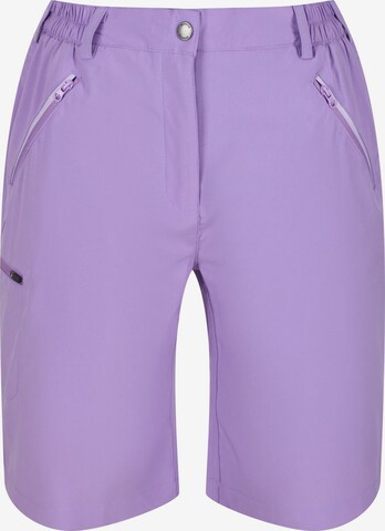 REGATTA Outdoor Pants 'Xert It' in Purple: front