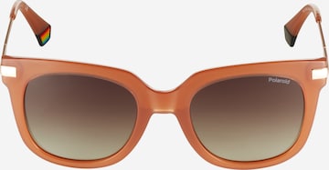 Polaroid Sunglasses '6180/S' in Brown