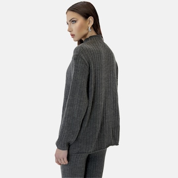 Pantalons de tailleur Elara en gris
