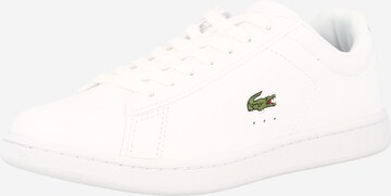 Sneaker bassa 'Carnaby' di LACOSTE in bianco: frontale