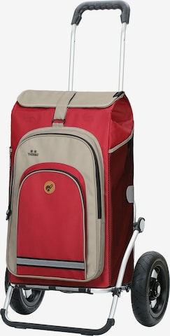 Trolley 'Hydro 2.0' di Andersen Shopper in rosso: frontale