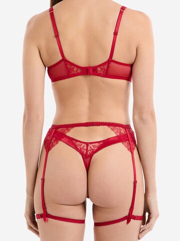 Reggicalze di ETAM in rosso