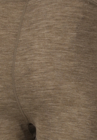Whistler Sports underpants 'Cerro' in Brown