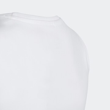ADIDAS ORIGINALS Μπλουζάκι 'Adicolor ' σε λευκό