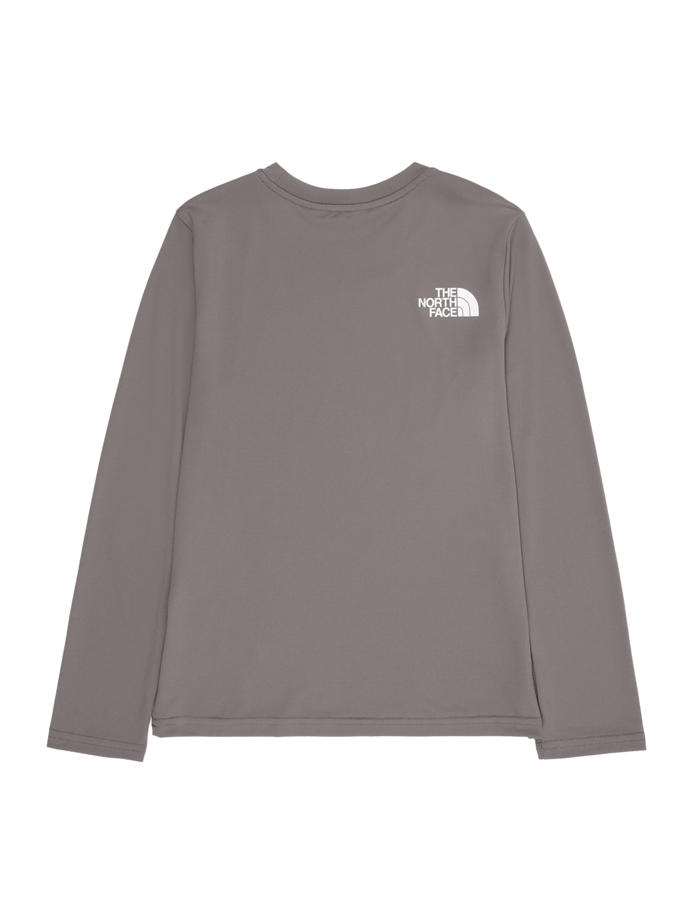 THE NORTH FACE Λειτουργικό μπλουζάκι σε γκρι