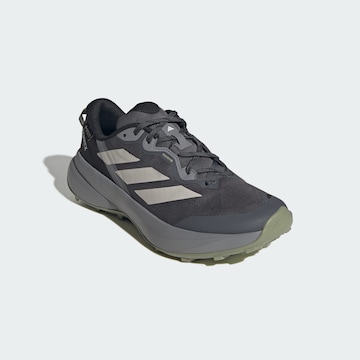 Chaussure basse 'Tracefinder Plus' ADIDAS TERREX en gris