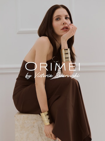 ORIMEI by Victoria Swarovski Вечернее платье в Коричневый