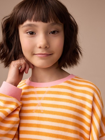 Next Sweatshirt in Orange