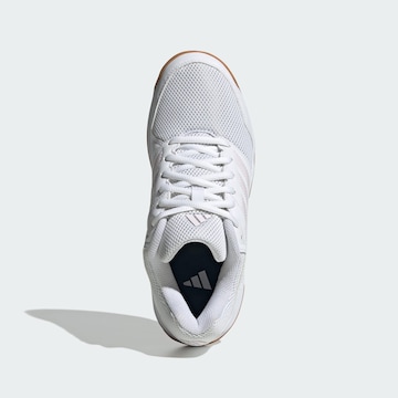 Chaussure de sport 'Speedcourt' ADIDAS PERFORMANCE en blanc