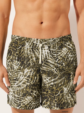CALZEDONIA Regular Badeshorts in Mischfarben: Vorderseite