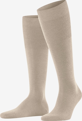 FALKE Knee High Socks 'Airport' in Beige: front