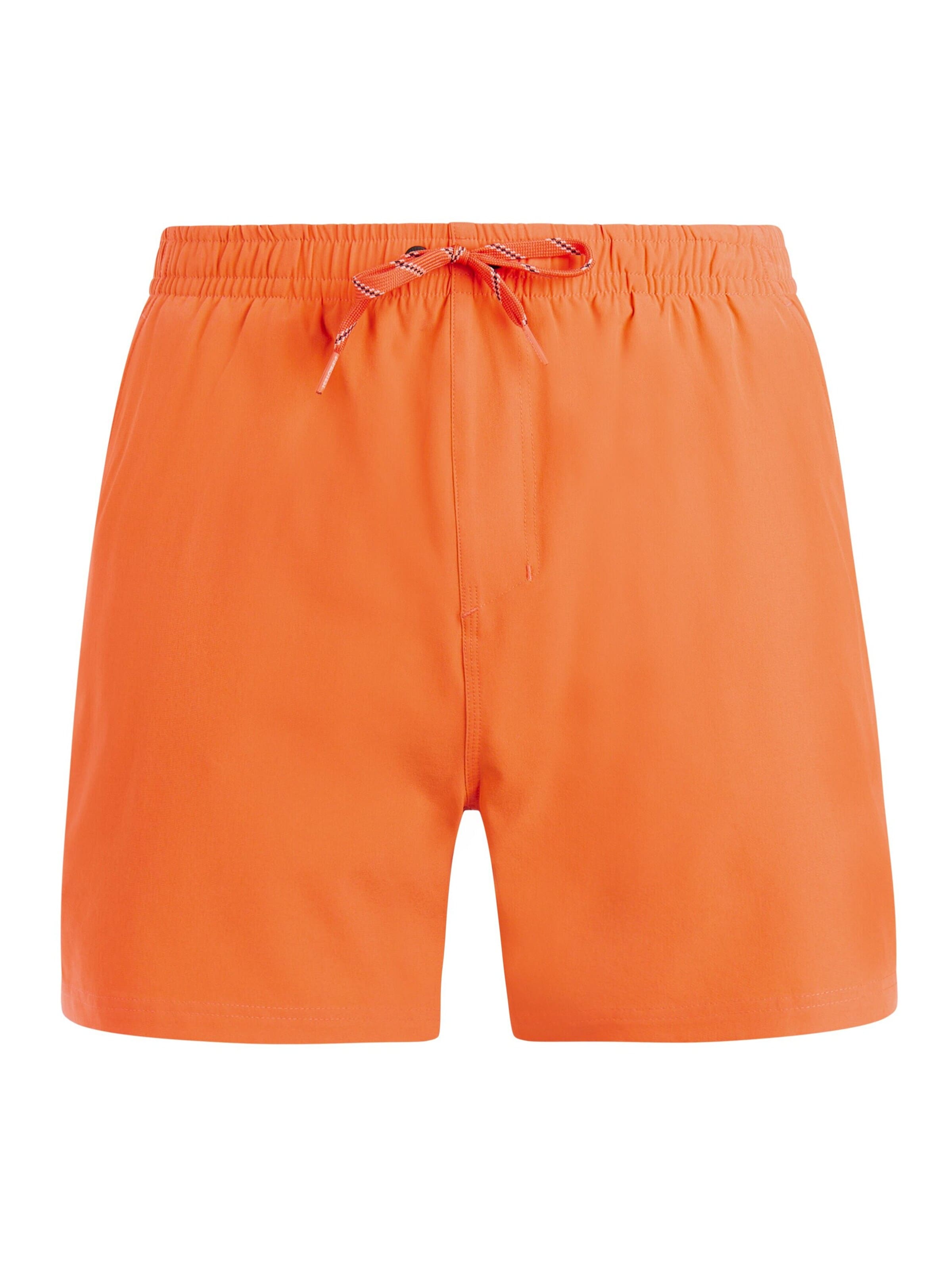 PROTEST Board Shorts 'PRTIgapo' in L/Regular in Plum, Item view