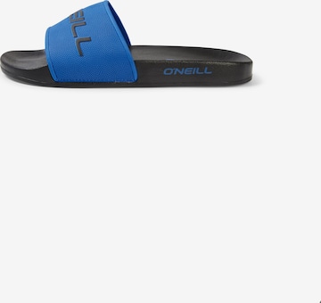 Flip-flops de la O'NEILL pe albastru: față