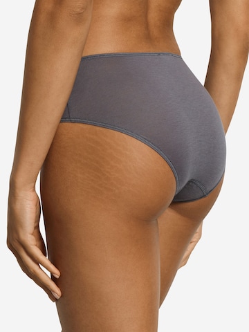Hanro Panty ' Ultralight ' in Grey