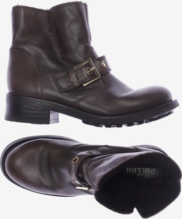 POLLINI Dress Boots in 38 in Brown: front
