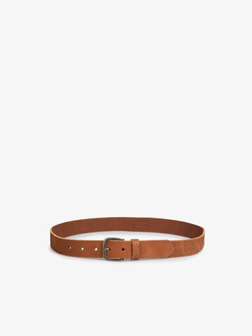 Scalpers Belt in Brown