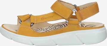 Ganter Sandalen met riem in Geel