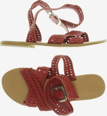 Asos Sandalen 35,5 in Rot: predná strana