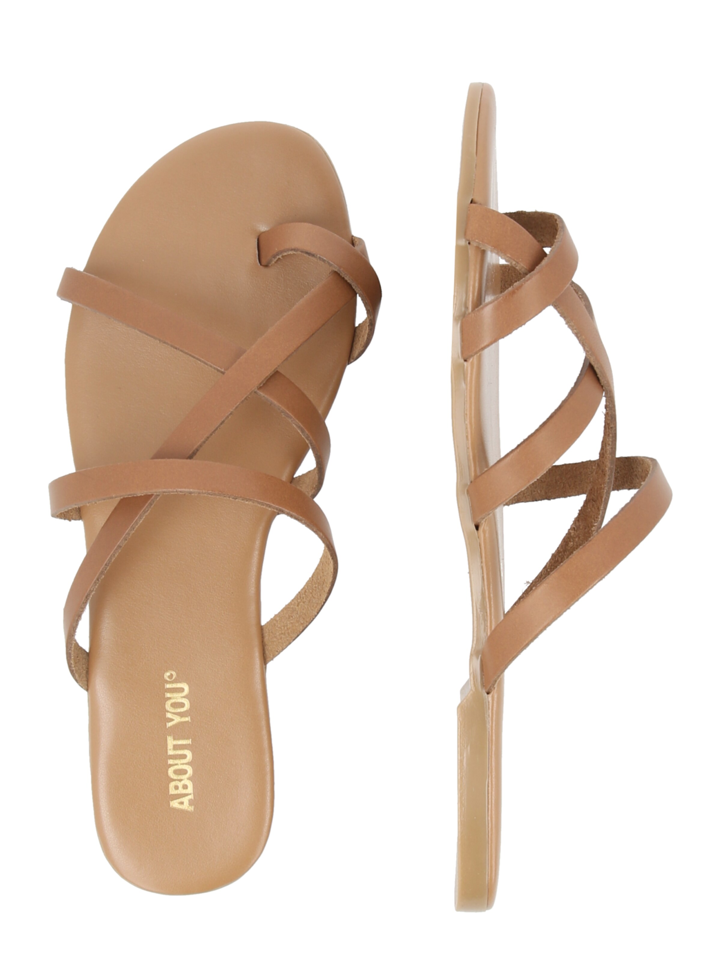 ABOUT YOU T-Bar Sandals 'Eleni' in Brown