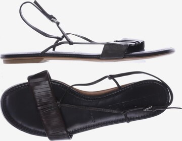 JIL SANDER Sandals & High-Heeled Sandals in 37 in Brown: front
