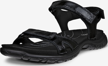 Sandales ECCO en noir : devant
