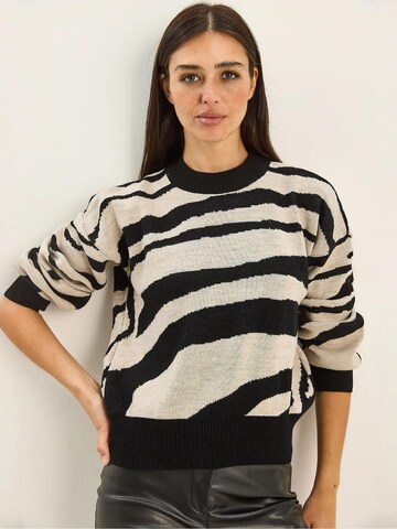Bianco Lucci Sweater in Black: front