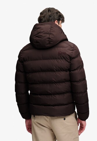 Veste d’hiver Superdry & Co en violet