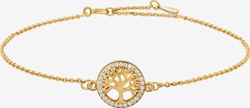 Joanli Nor Bracelet 'Caianor' in Gold: front