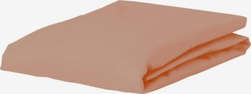 ESSENZA Bed Sheet 'Minte' in Orange: front