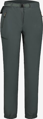 ICEPEAK Outdoor Pants in Green: front