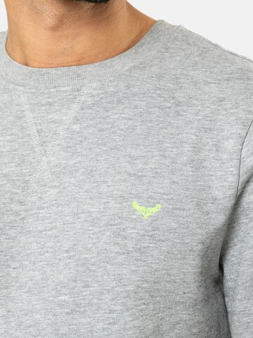 Threadbare Sweatshirt 'Satsuma' in Grau