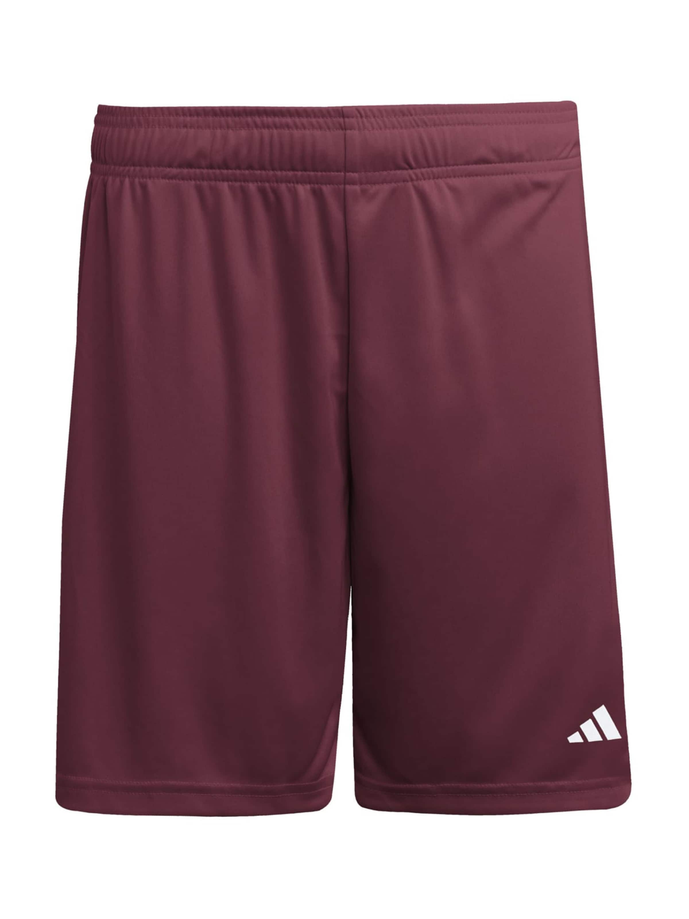 ADIDAS PERFORMANCE - regular Pantalón deportivo 'ENT26' en rojo: frente