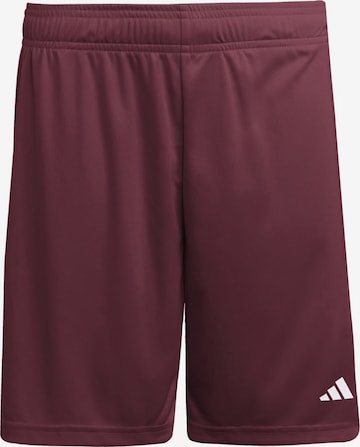 ADIDAS PERFORMANCE Regular Urheiluhousut 'ENT26' värissä punainen: etupuoli