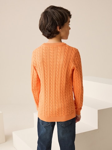 Pullover di Next in arancione
