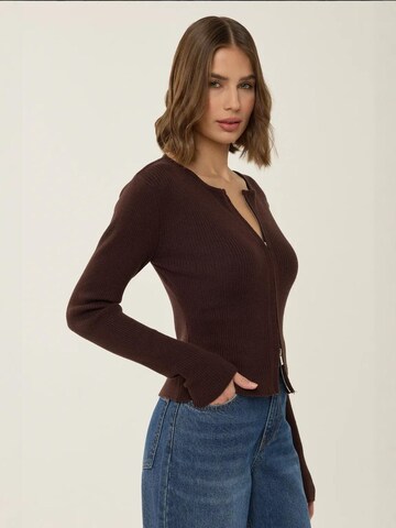 Hiccup - Casaco de malha em castanho