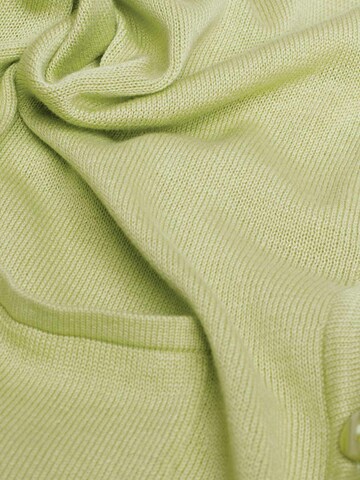 Goldner Sweater in Green