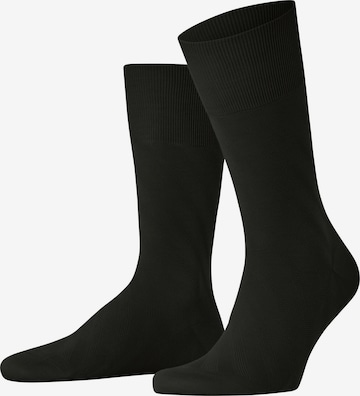 FALKE Socken 'ClimaWool Special Edition' in Braun: Vorderseite
