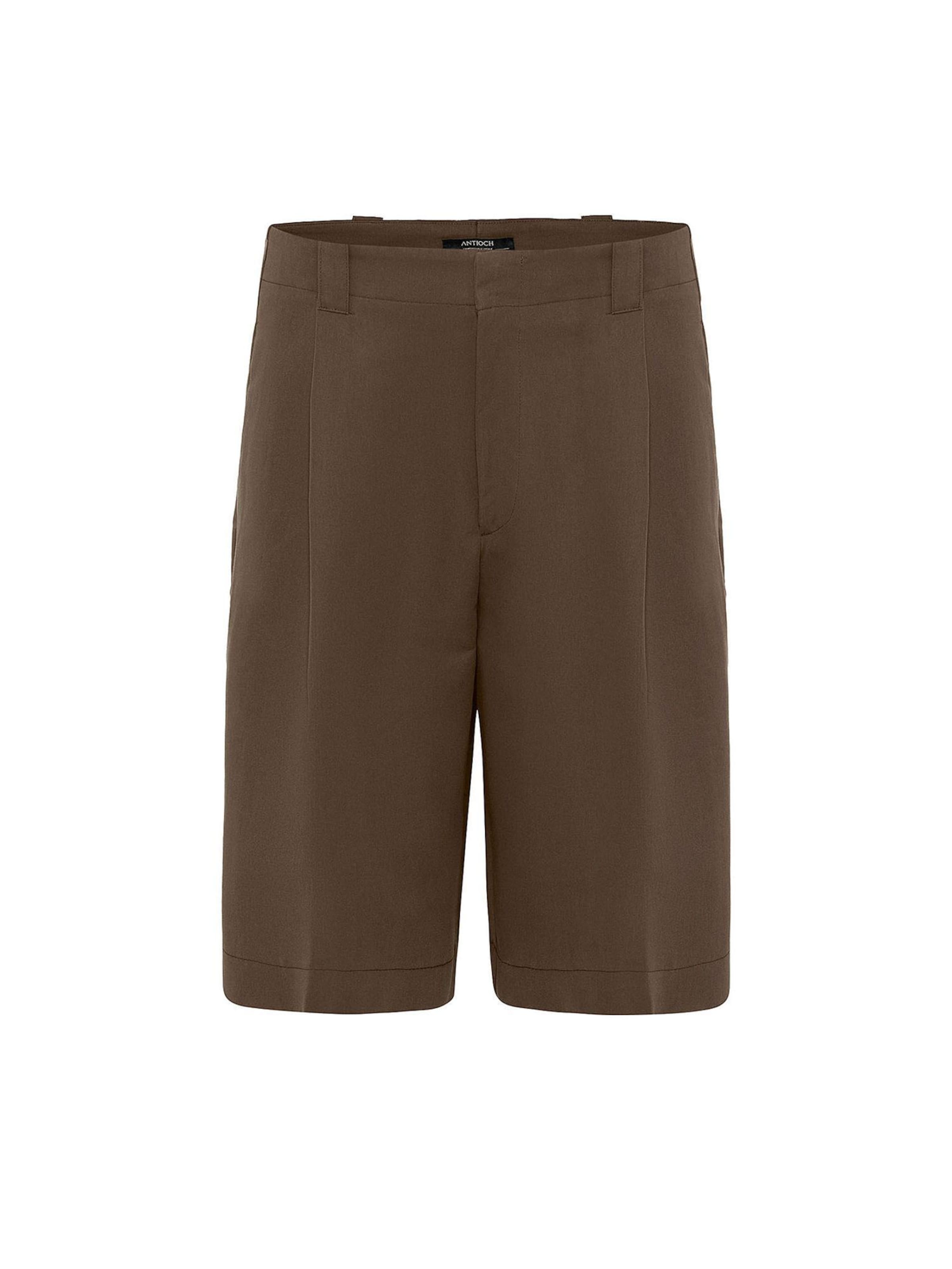 Regular Pantalon Antioch en marron : devant