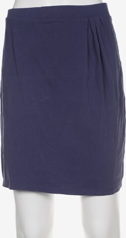 Grüne Erde Skirt in XS in Blue: front