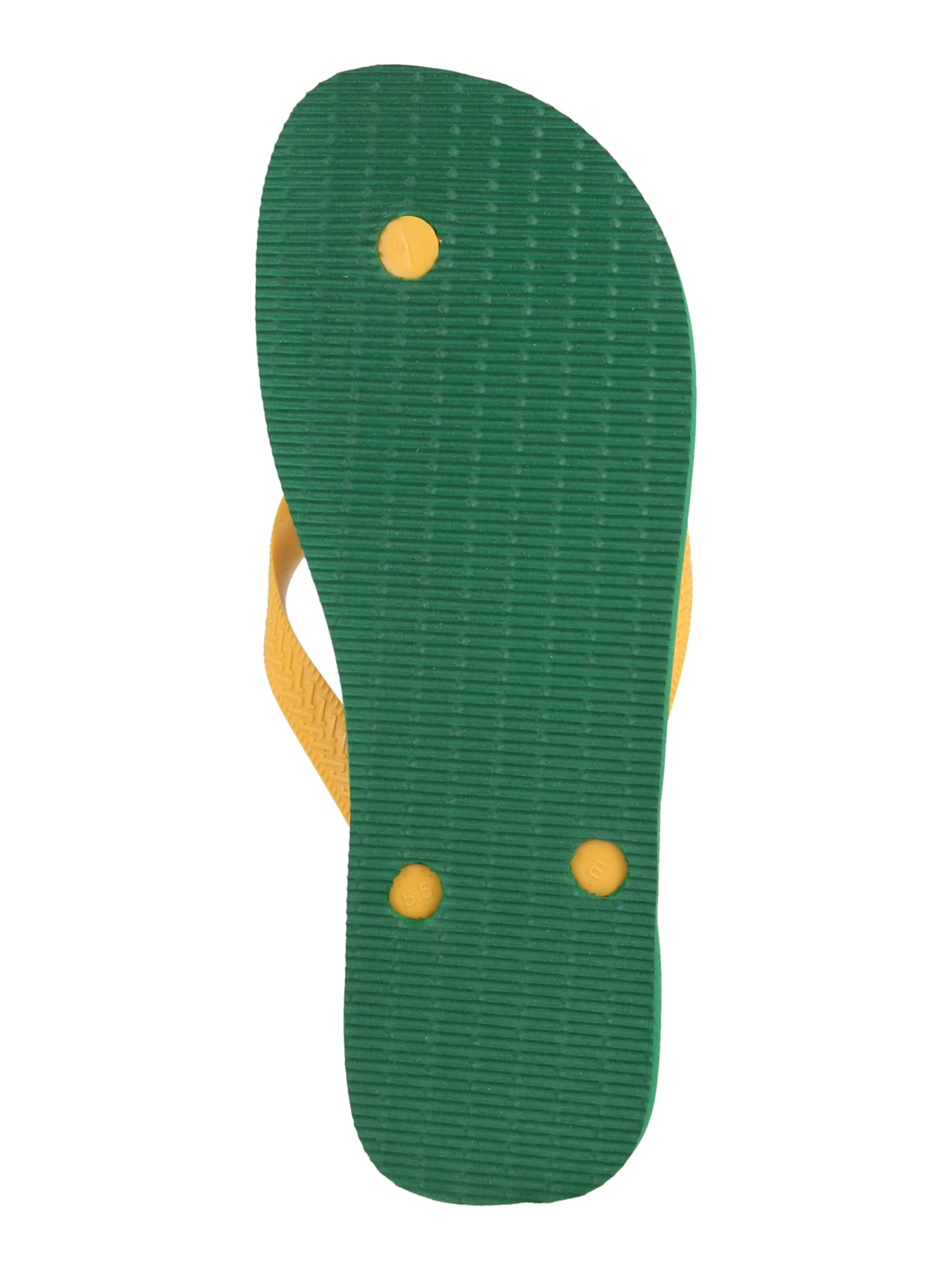 HAVAIANAS Japonki 'TOP LOGOMANIA 2' w kolorze zielony