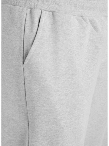 Active by Zizzi Regular Hose 'ASIN' in Grau