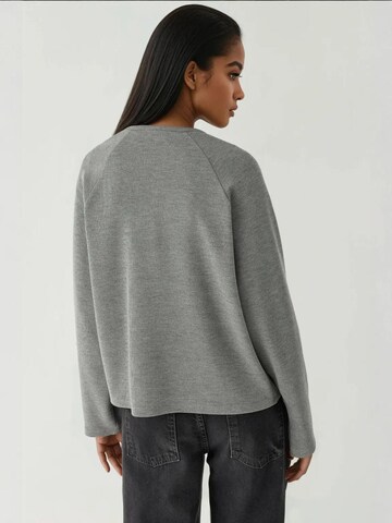 Hiccup - Sweatshirt em cinzento