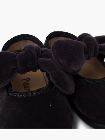 Pisamonas Flats in Grey