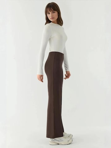 Hiccup Regular Pants in Brown