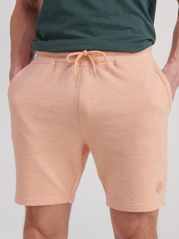 Regular Pantalon Shiwi en orange