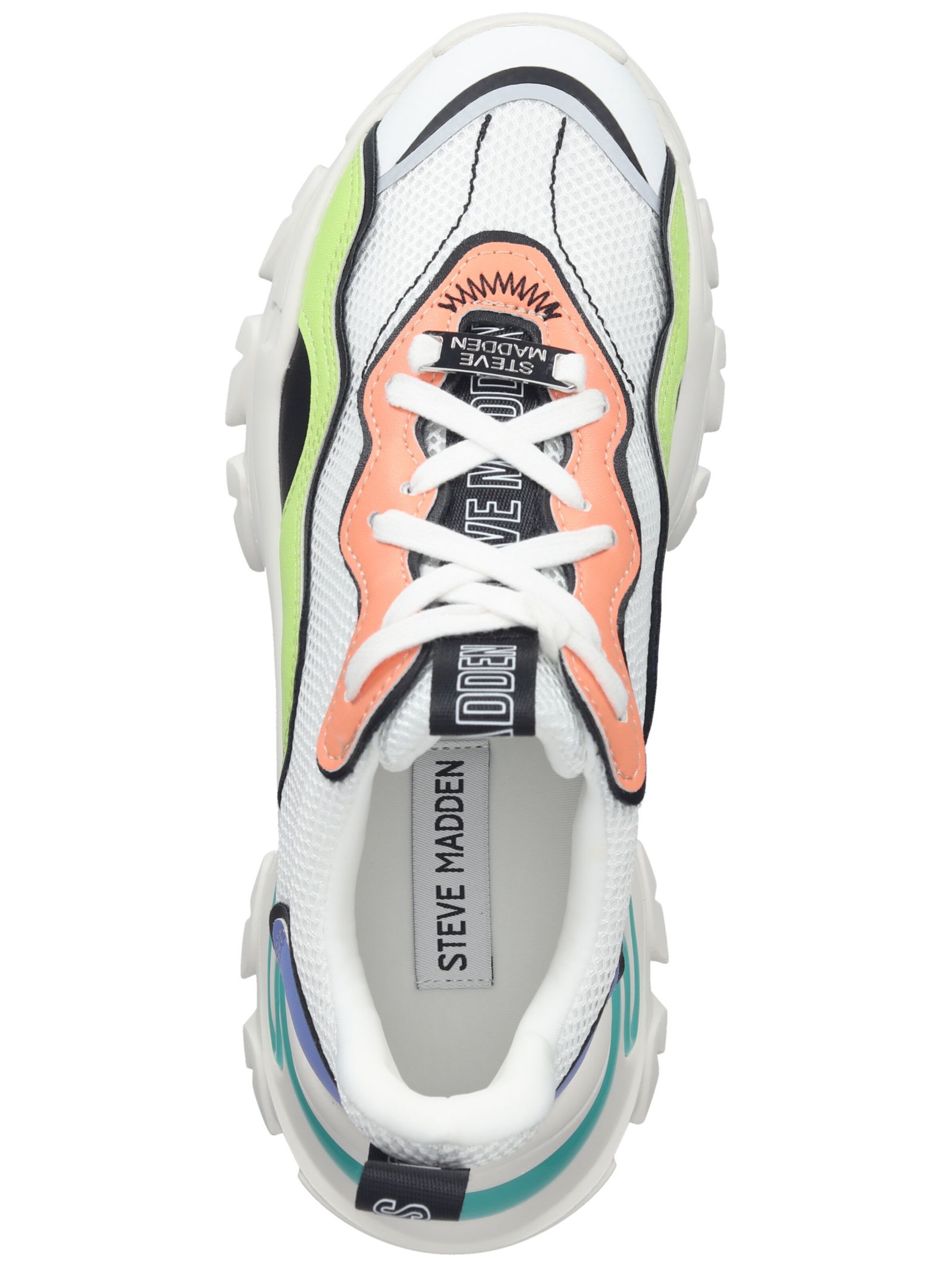 Baskets basses STEVE MADDEN en mélange de couleurs