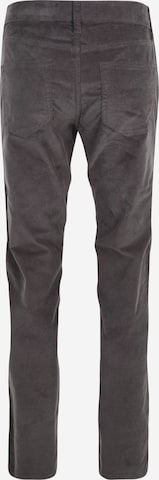 HOLLISTER Regular Hose in Grau